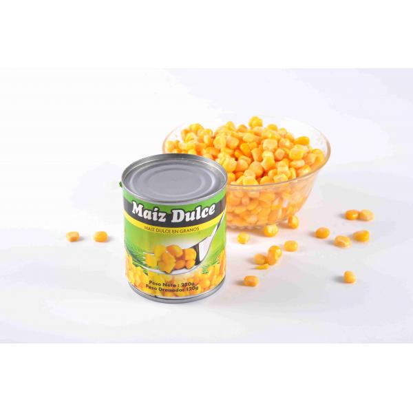 Quality Traditional High Protein Sweet Corn In Can No Preservative ISO Certification for sale