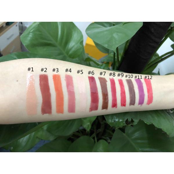 Quality High End Lip Makeup Products 12 Colors Liquid Lip Gloss 2 Years Shelf Life for sale