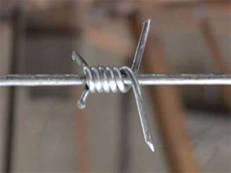 single strand barbed wire 