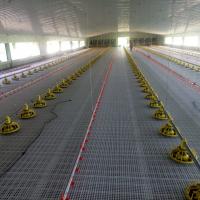 China Anti Slip Broiler Floor System Standard for Superior Performance factory