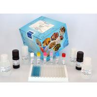 Quality Deoxynivalenol (DON) Column Kit Mycotoxin ELISA Kit For Food and Feed Analysis for sale