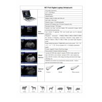 Quality Wearproof Veterinary Ultrasound Machine Sheep Ultrasound Scanner 12.1 Inch SVGA for sale
