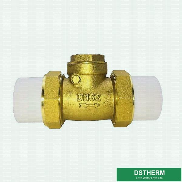 Quality 32mm DIN Drinkable Water Ppr Brass Body Check Valve for sale