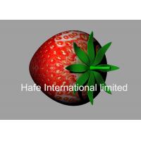 China Red Color 5M Height Inflatable Strawberry With 10M Rope For Fruit Festival UK for sale