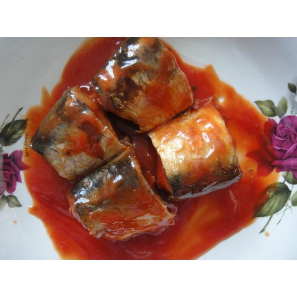 Quality Pure Mackerel Canned Fish In Tomato Sauce / Brine / Oil Excellent Fine Taste for sale