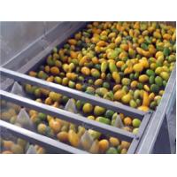 China 20 T/H Stainless Steel Mango Processing Line Automatic Mango Juice Making Machine factory