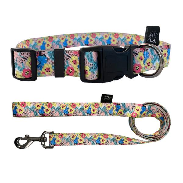 Quality Small Medium Large Classic Dog Collar With Quick Release Buckle for sale
