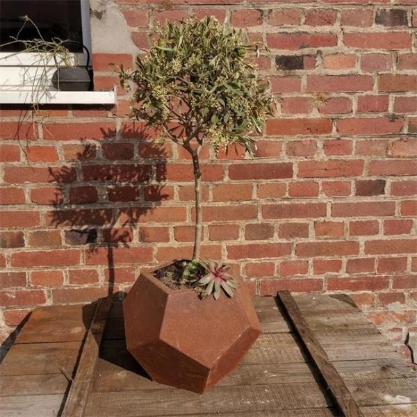 Quality Large Hexagonal Garden Pots Container Corten Metal Flower Planters For Patios for sale