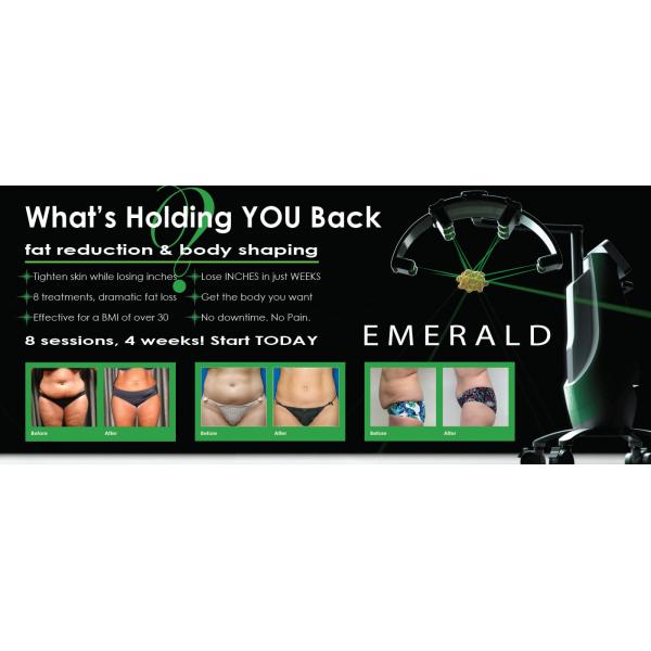 Quality Emerald Laser Non Invasive Fat Removal Machine Laser Lipo Non Surgical for sale
