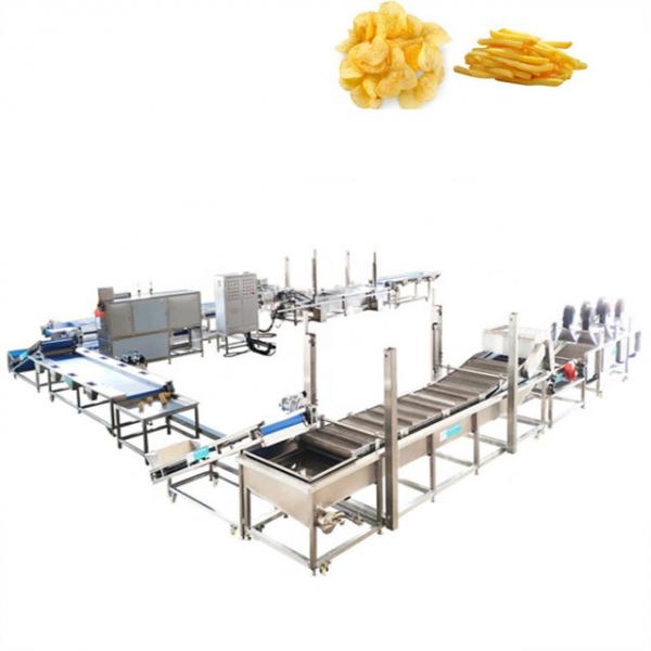 Quality Automatic Frozen French Fries Production Line 304 Stainless Steel 380V 15KW for sale