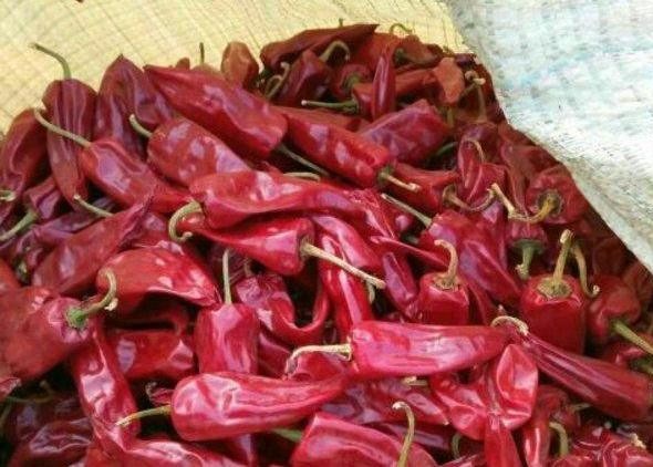 Quality Capsicum Yidu Chili Air Dried Dehydrated Whole Chilli Pods Spicy Fragrance for sale