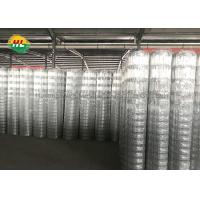 China 50m Hinge Joint Wire Mesh , Hot Dipped Galvanized Wire Mesh Rolls for sale