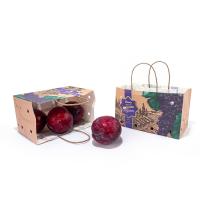 China Twist Rope Handle Fruit Paper Bags For Grapes Orange Packaging for sale