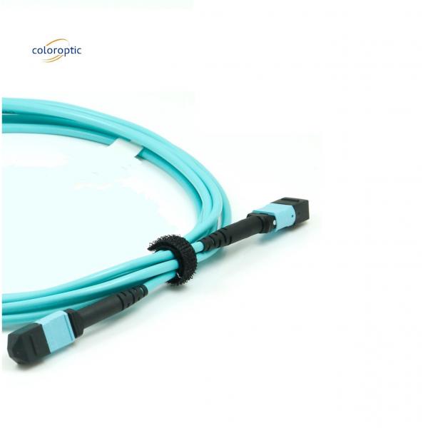 Quality Optical MPO Patch Cord -4℃ - 85℃ Storage Temperature With Connector for sale