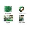 China 250kg/H Bottle Flake Pet Strap Production Line single screw factory