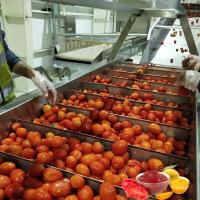 China Sauce Paste Tomato Ketchup Production Line Commercial factory