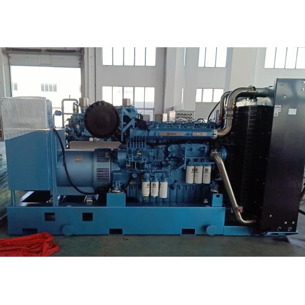 Quality 1000kVA Weichai Diesel Generator Set Blue Stationary Generator Set for sale