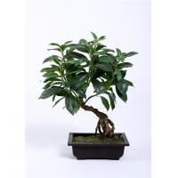 China Premium Artificial Bonsai Tree , Artificial Decorative Trees Podocarpus Macrophyllus factory