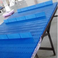 China Vertical Portable Conveyor Transmission Belts Modular 170mm Standard Width factory