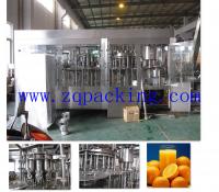 China Fresh Fruit Juice Production Line/Complete Filling Plant factory