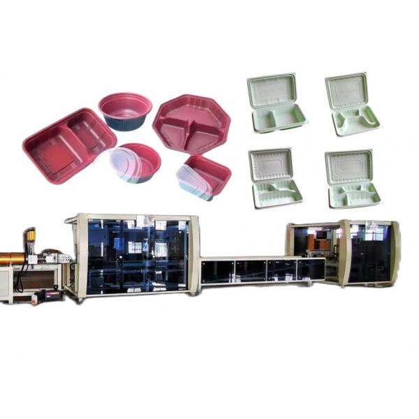 Quality Blister Take Away Lunch Food Box Making Machine Plastic for sale