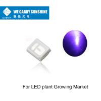 Quality Long life span UVA Led 395-405nm 150-200mW UV LED Chip for LED plant Growing for sale
