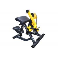 China 300kg Biceps Curl Hammer Strength Exercise Machine factory