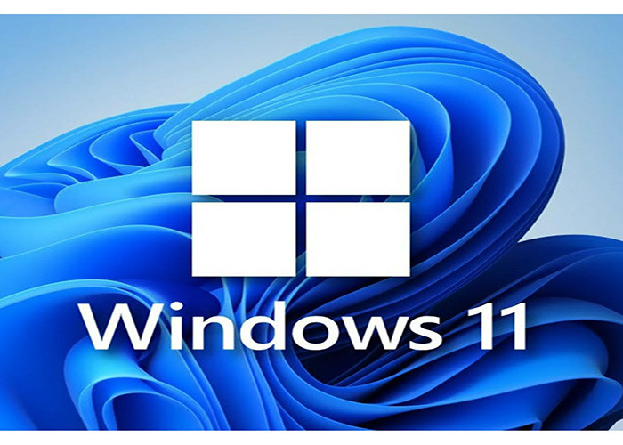 China Windows 11 PRO Retail 5user With Activation Key factory