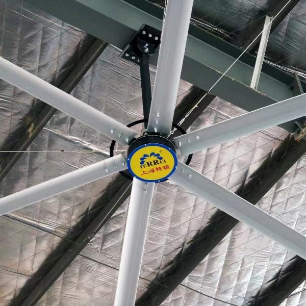 Quality 24ft Industrial Giant Ceiling Fan Manufacturer HVLS Fans For Farms for sale
