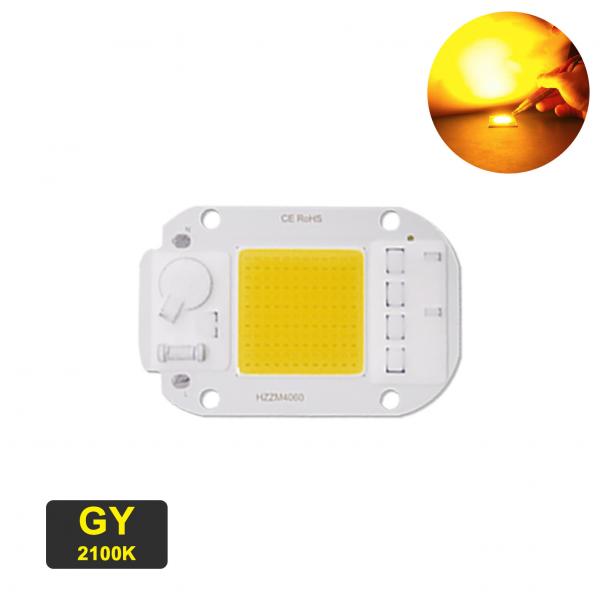 Quality LED Cob Chip 50w Driverless AC 220V Troubleshooting Assistance for sale