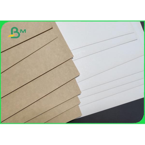 Quality 270gsm Clay Coated Kraft Back ( CCK ) 900mm Roll Tear Resistance for sale
