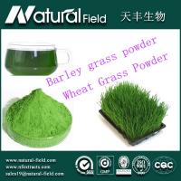 China Cure angiocardiopathy and Food supplement organic barley grass powder factory