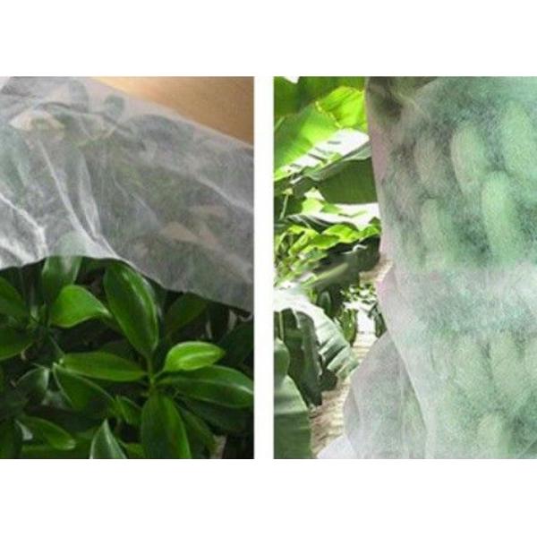 Quality Good Transparency Agriculture Non Woven Fabric Non - Poisonous Frostproof Fabric for sale