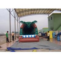 Quality Exciting Outdoor Inflatable Tunnel for adults interactive inflatables sports for sale