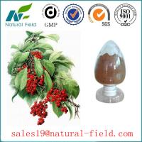 China schisandra chinensis extract 9% schisandrins with CAS:7432-28-2 GMP manufacturer and competitive price factory