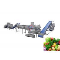 China Commercial Fruit Vegetable Washer Machine , Vegetables Processing Line factory