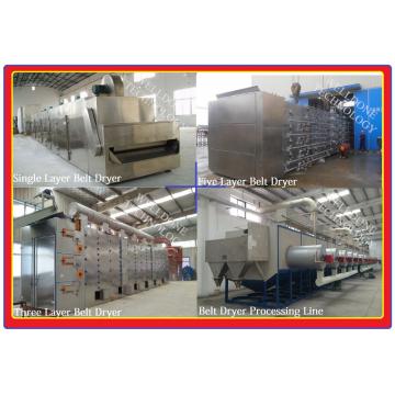 Quality SUS316L Material Hot Air Conveyor Dryer High Drying Rate For Coal Drying for sale