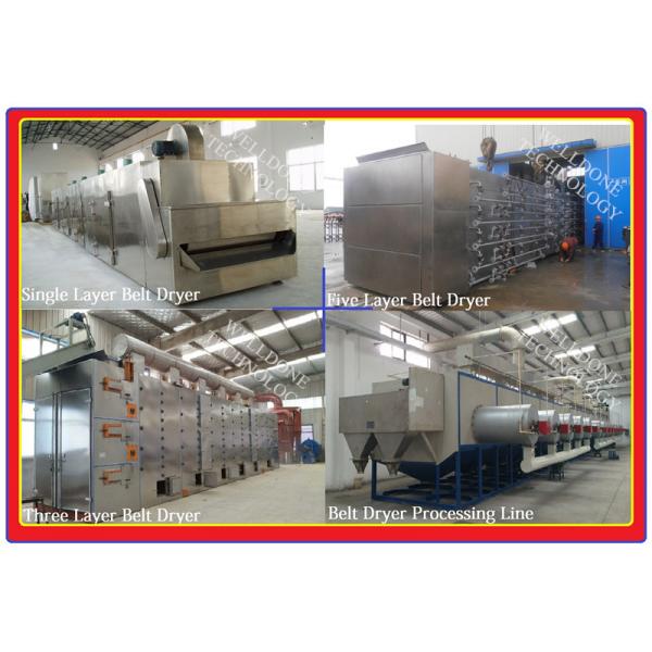 Quality DWF Series Conveyor Belt Dryer large capacity high efficiency for sale