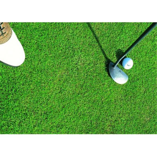 Quality Healthy Golf Artificial Grass , Synthetic Golf Turf Long Life Expectance for sale