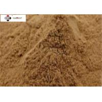 China EP 8.0/EP Ginkgo Biloba Extract（GBE）powder factory