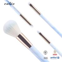 China 4pcs Travel Makeup Brush Set With Synthetic Hair And Plastic Handle With PVC Packaging Box factory