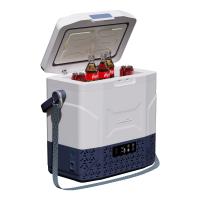 China 12L Portable Camping Compressor Car Fridge -20 10 C Refrigerator for Home and Camping factory