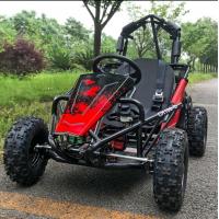 China Outdoor Park Tournament Bore*Stroke 56*40mm T.C.I Engine Pedal Gokart with Small Size for sale