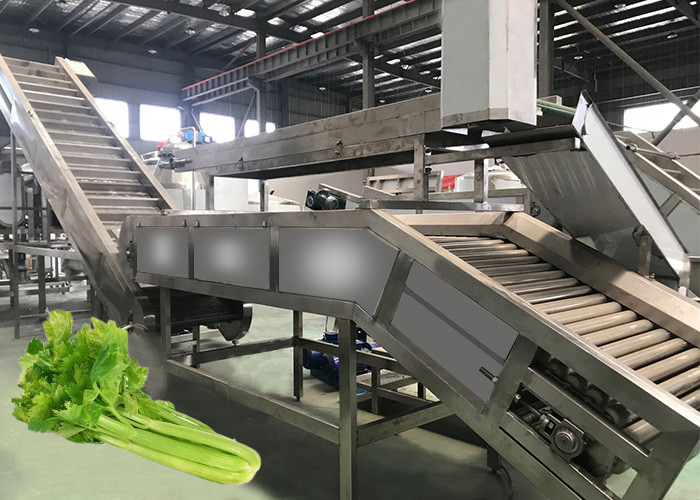 China Large Scale Vegetable Juicer Machine High Capacity Juice Concentration 220V Voltage factory