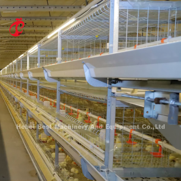 Quality Poultry Farm Automatic Baby Broiler Battery Cage System Rose for sale