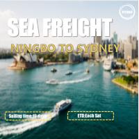 China WIFFA China To Australia Sea Freight Services From Ningbo To Sydney Each Sat factory