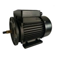 Quality 0.75HP IE1 Single Phase Electric Motor High Reliability Swimming Pool Pump for sale