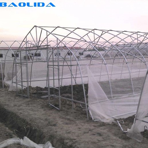 Quality Tomato Growing Naturally Ventilated Greenhouse Plastic Film Greenhouse for sale