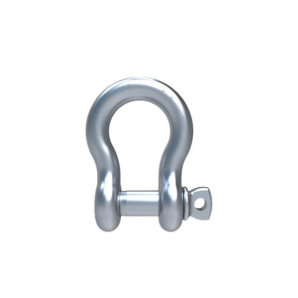 Quality SLR958-S6 SCREW TYPE ANCHOR SHACKLE for sale