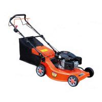 China 6 HP Cylinder Petrol Lawn Mower Garden Portable Lawn Mower With B&amp;S or Honda Engine factory